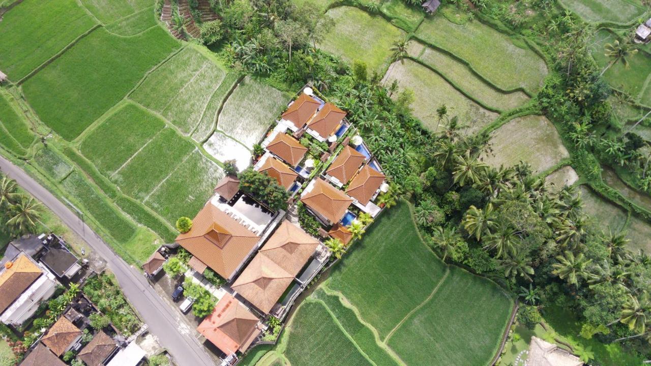 Danakha Villa Ubud Tegallalang  Exteriör bild